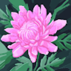 Meet your Posher, Toots